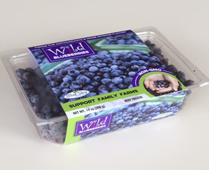 Frozen containers of Wild Maine Blueberries